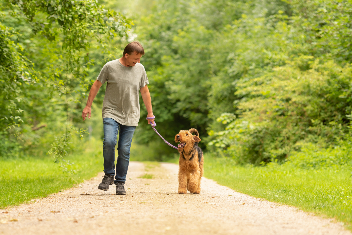 Flöhe beim Hund Befall erkennen bekämpfen und vorbeugen GartenFlora