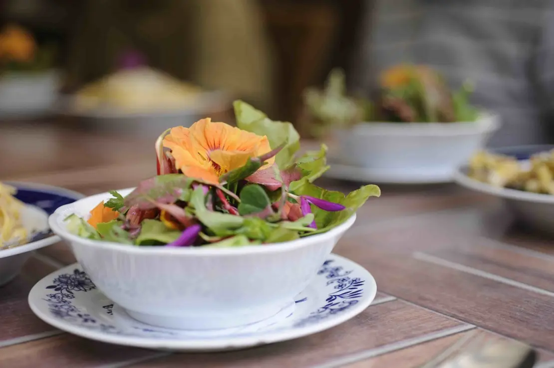 Wildkräutersalat in Porzellanschale mit Kapuzinerkresse