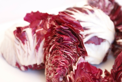 Radicchio Co Blattzichorien Gartenflora