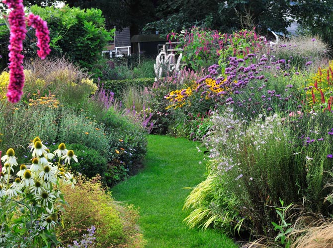 Rasen Alles Im Grunen Bereich Gartenflora