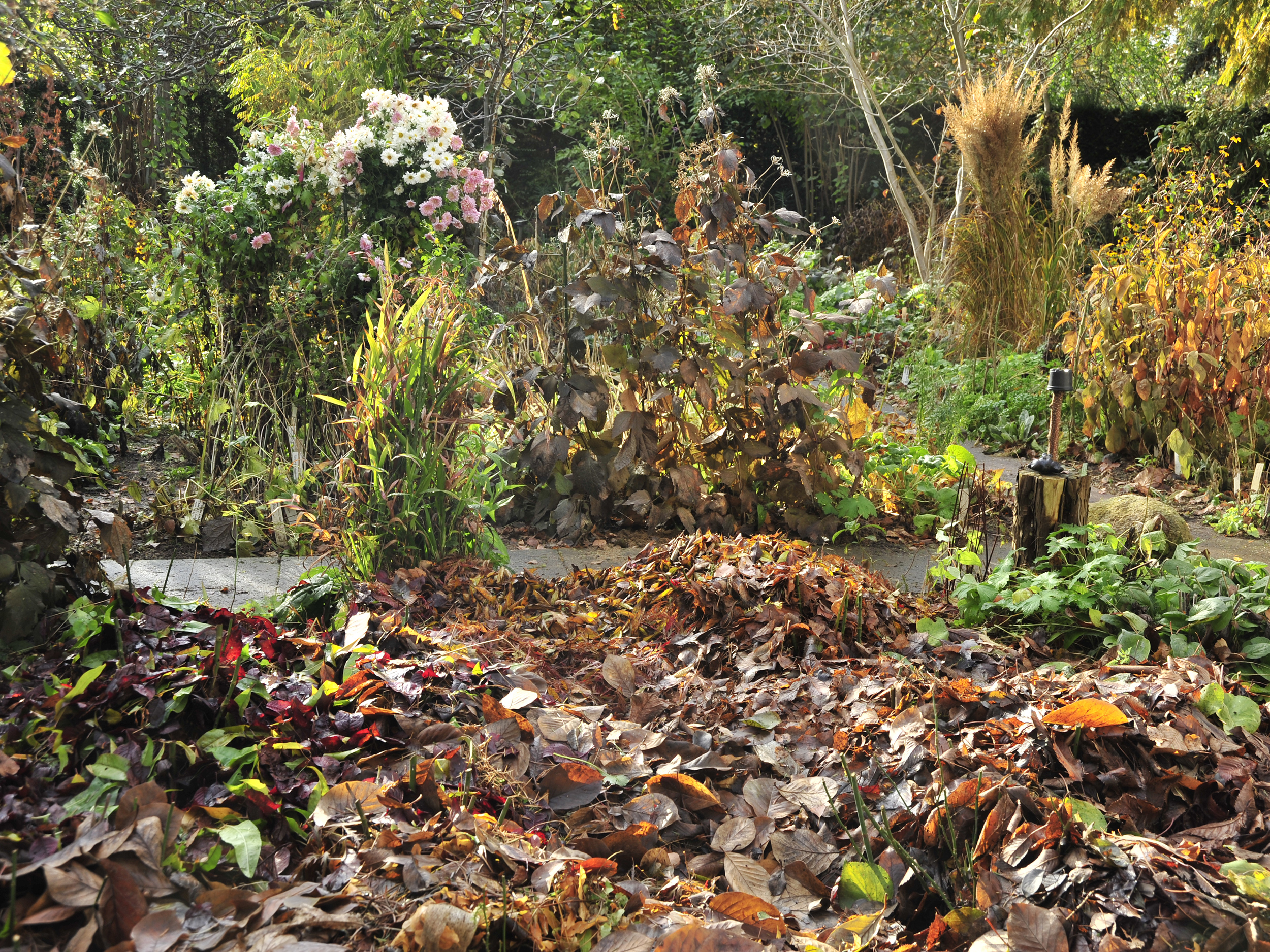 Garten Im November Gartengestaltung Idee