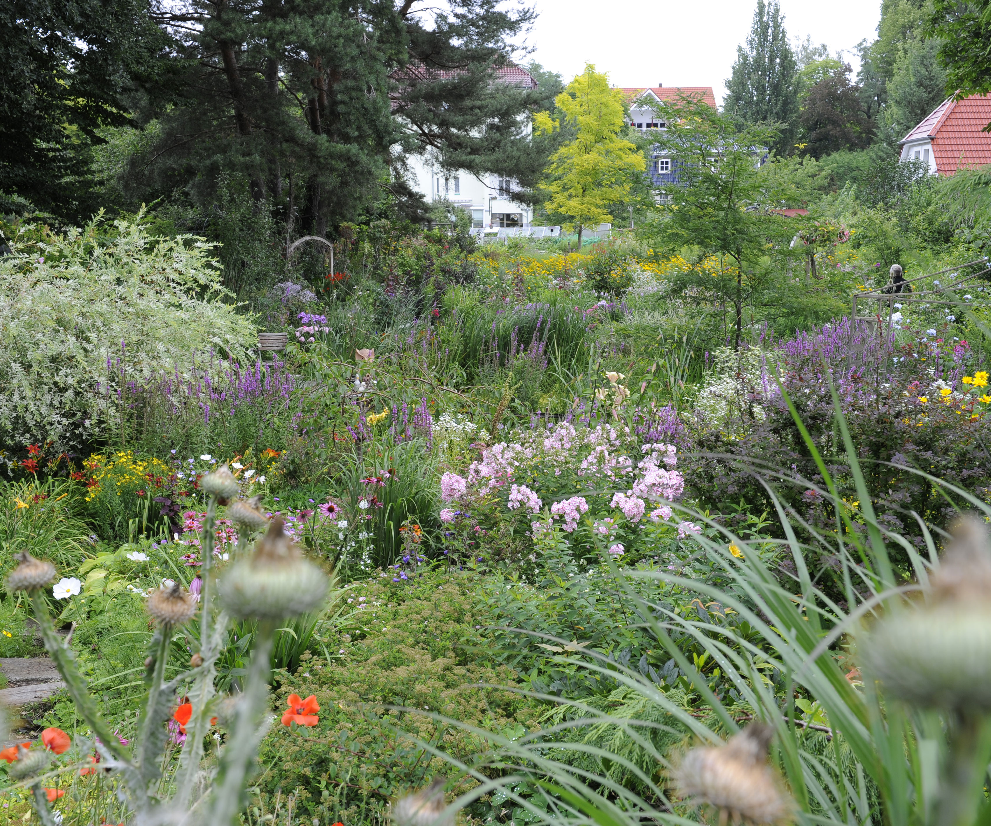 Garten In Falkensee Reizendes Chaos Gartenflora