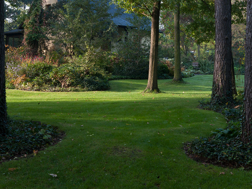 Effektive Mikroorganismen Gesunder Boden Gartenflora