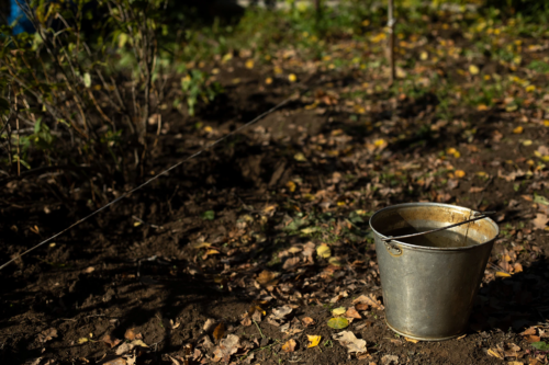 Bodenverbesserung Herbst: Zu sehen ist ein Metall-Eimer, der auf einem Stück Erde steht, das bedeckt ist von verstreuten Herbstblättern. [Foto: AdobeStock_Олег Копьёв]