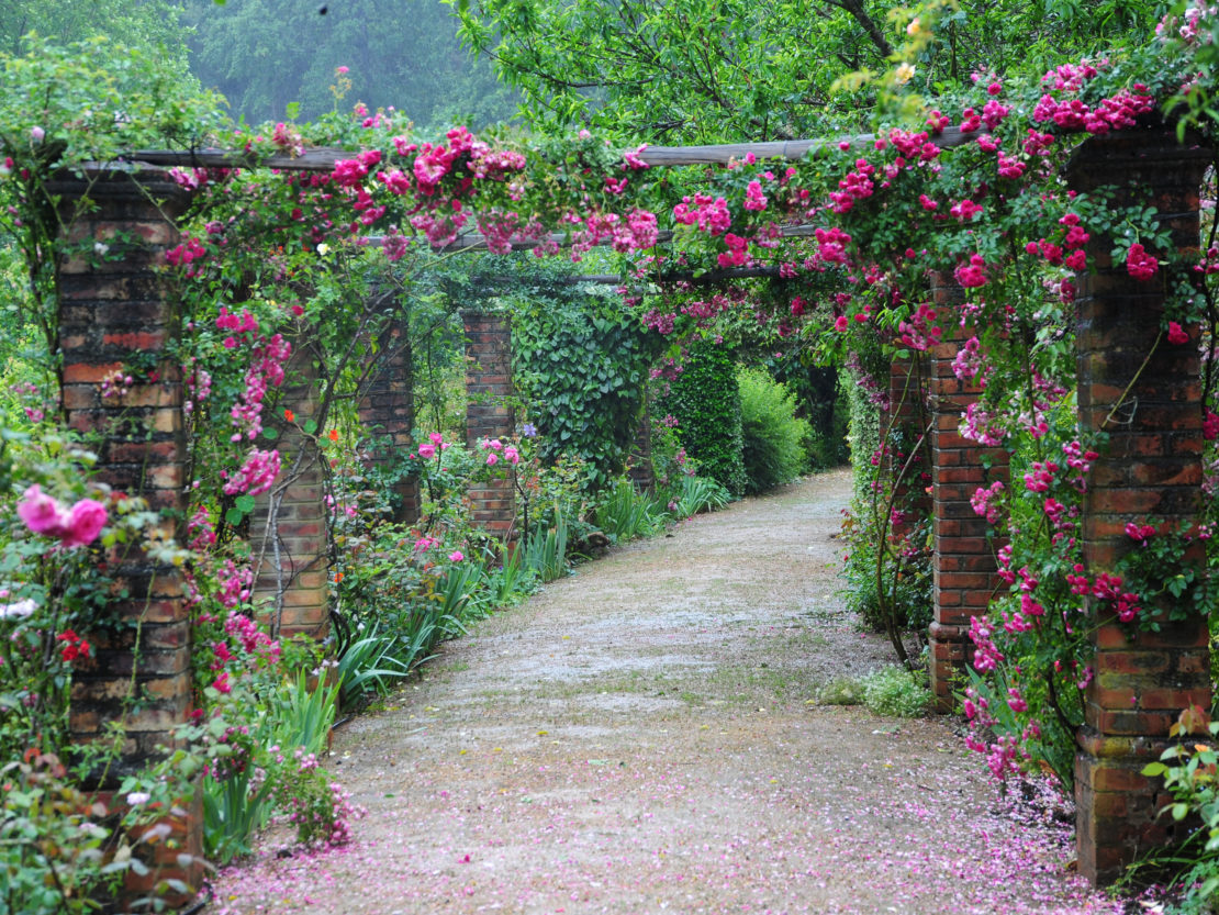 10+ Gartengestaltung Rosenbogen Garten Gestaltung