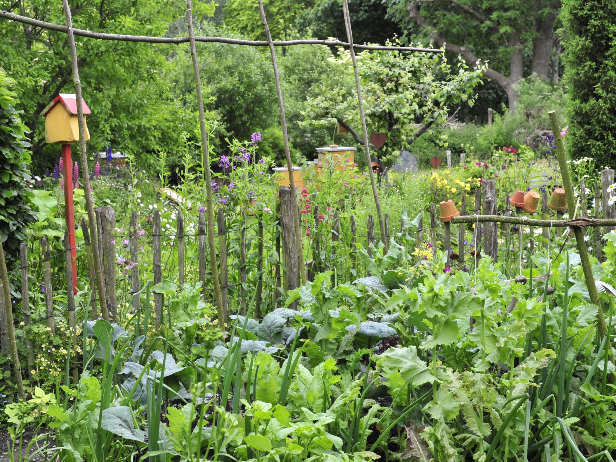 Der Cottage Garten Romantik im Grünen GartenFlora