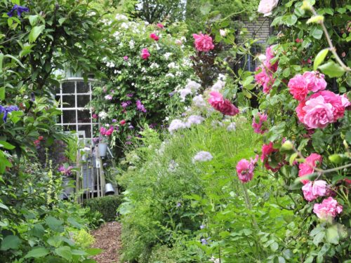 Romantische Gartenimpression wie im Cottage Garten dank Kletterrosen und Stauden