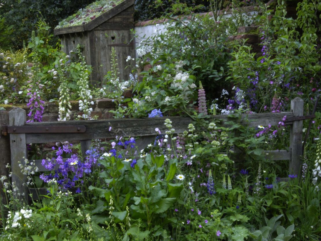 Der Cottage Garten Romantik im Grünen GartenFlora