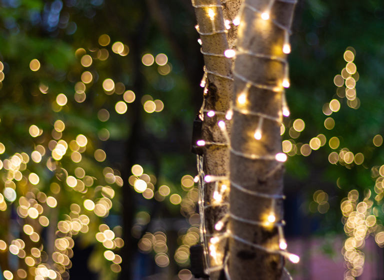 Weihnachtsbeleuchtung im Garten 3 DekoIdeen GartenFlora