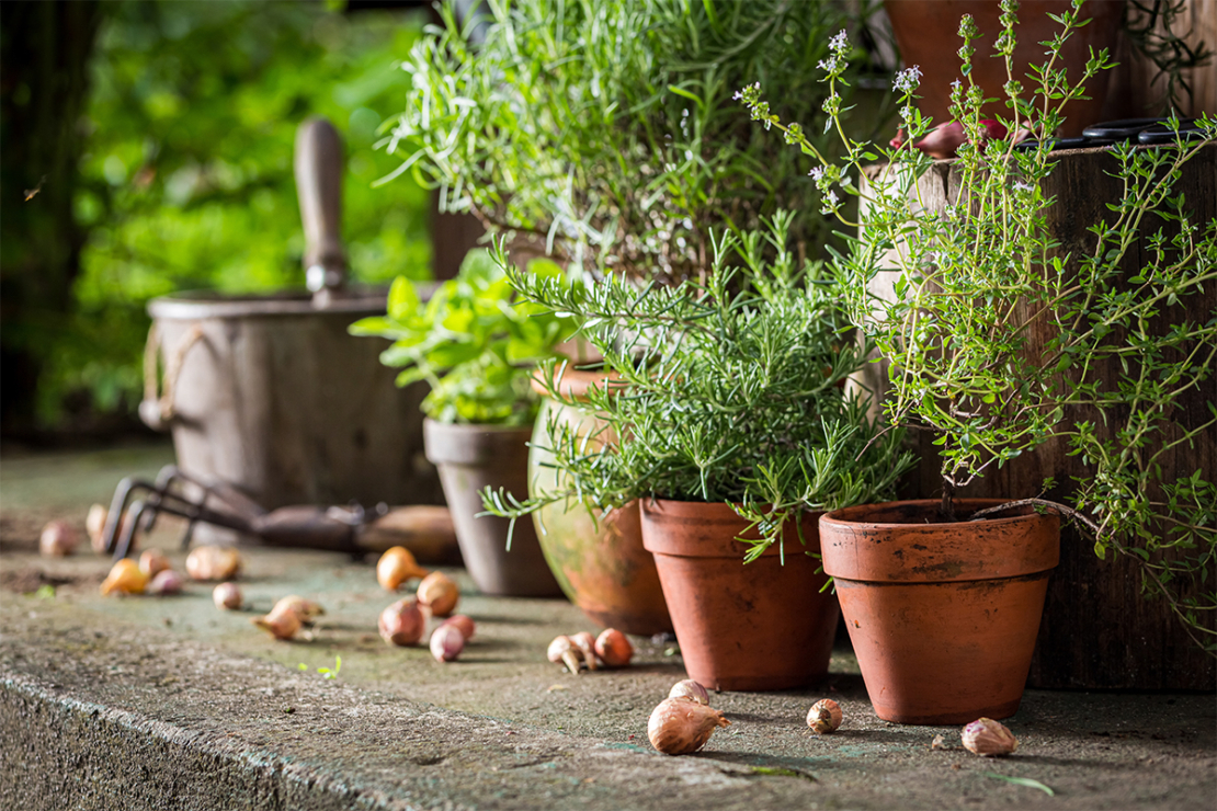 Garten Im Mai Diese Aufgaben Stehen Jetzt An Gartenflora