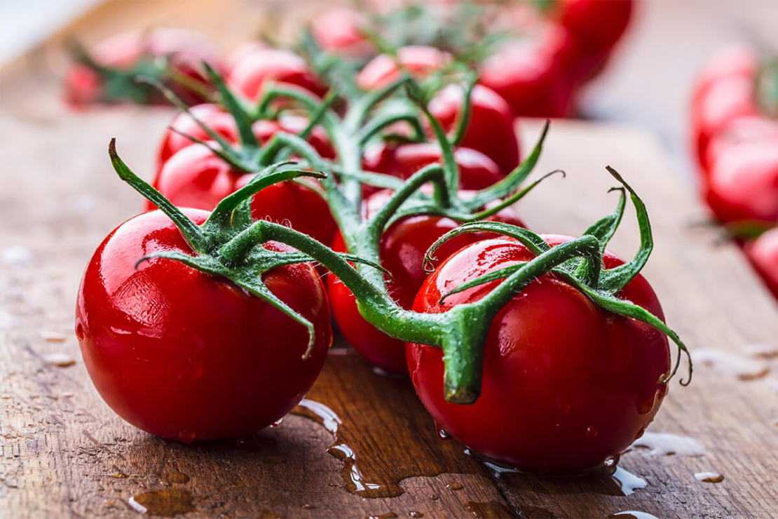 frisch gewaschene Tomaten an der Rispe