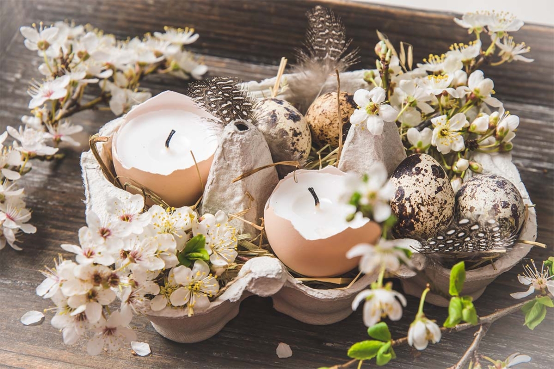 Basteln mit Eierschalen: Pflanzendeko zu Ostern | GartenFlora