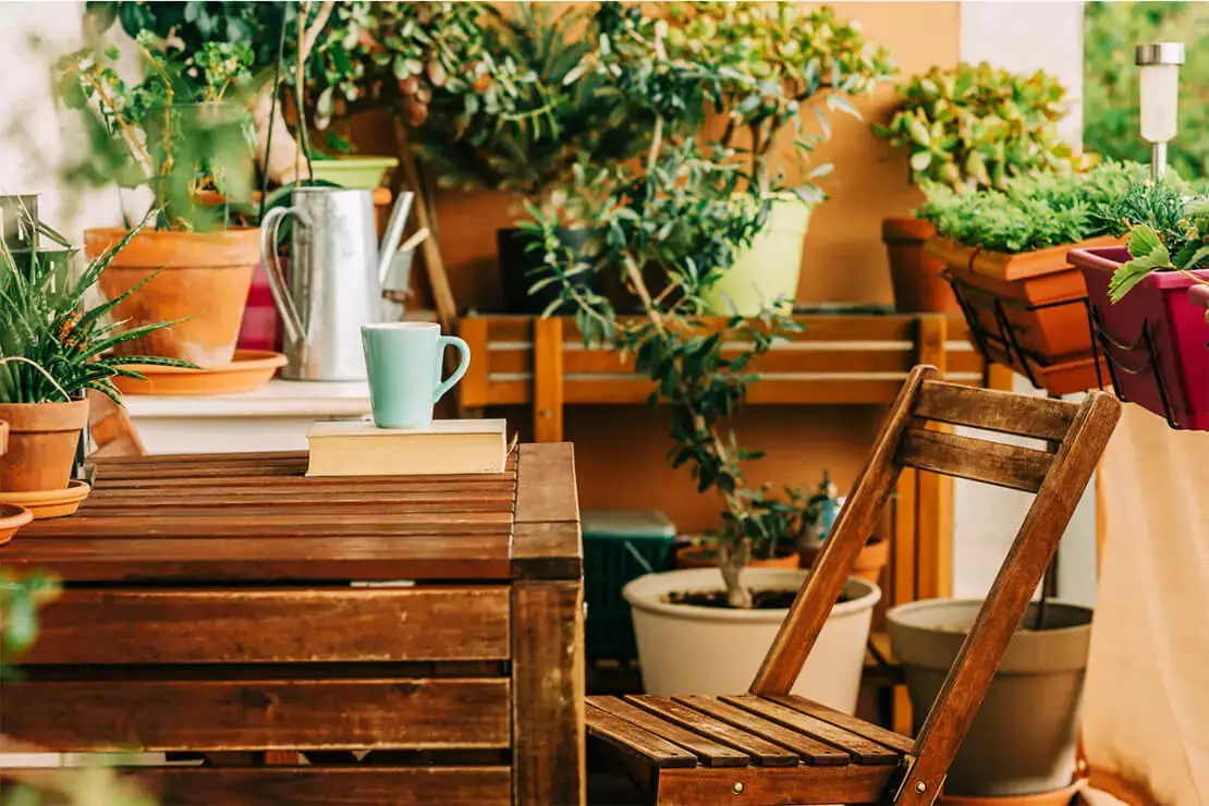 Balkonpflanzen stehen auf einem Holzregal und einem Holztisch [Foto: AdobeStock_Annanahabed]