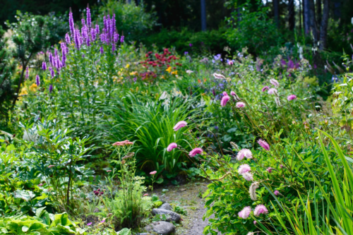 Garten im August: Blick in einen vielfältig bepflanzten Staudengarten mit unterschiedlichsten Blütenpflanzen. Foto: AdobeStock_Nadezda Verbenko