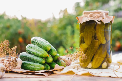 Gurken einlegen und ernten – hier in einem Einmachglas im Garten [Foto: AdobeStock_Cherkasova-Alie]