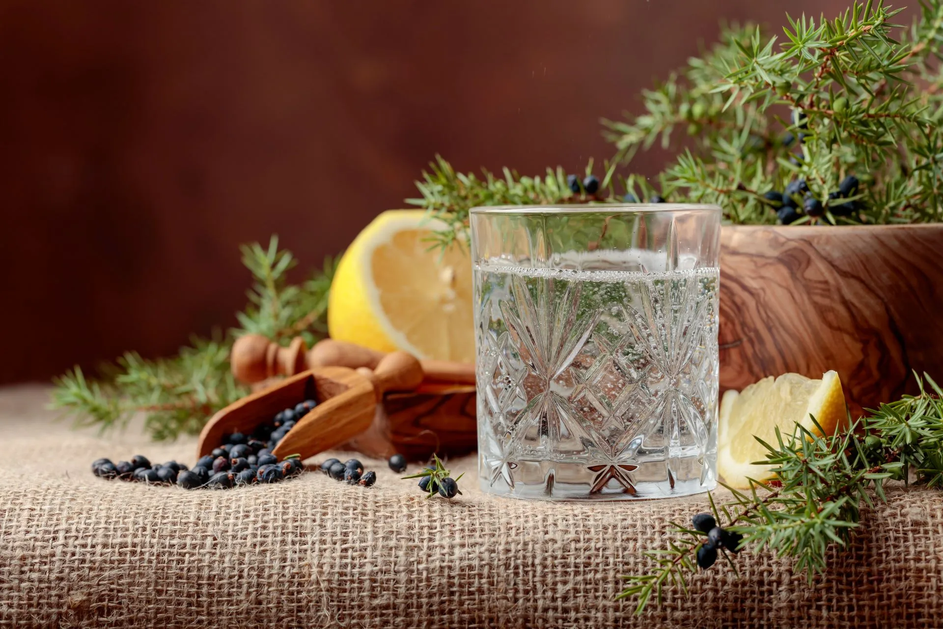 Ein Kristallglas gefüllt mit Wacholderschnaps, Gin, im Hintergrund eine aufgeschnittene Zitrone, Wacholderbeeren und -zweige