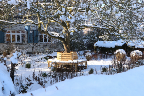 Garten im Januar: Das Bild zeigt einen verschneiten Garten im Winter. Ein Baum, dessen Äste mit Schnee bedeckt sind, steht im Mittelpunkt. Rund um den Baum ist eine hölzerne Sitzbank platziert. Im Hintergrund sieht man ein Haus mit blauen Fensterläden und schneebedeckten Fenstersimsen. Sträucher und Pflanzen, die teilweise mit Schnee bedeckt sind, säumen den Garten. [Foto: AdobeStock_Christine Kuchem]