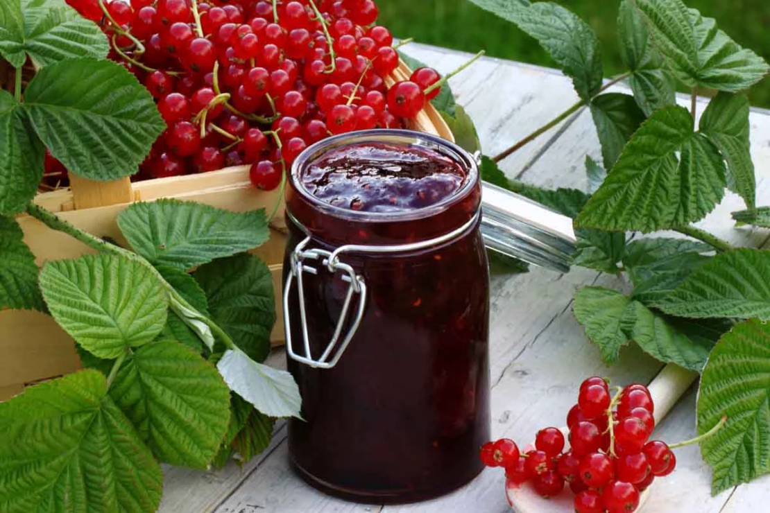 Johannisbeermarmelade und Johannisbeeren nach der Ernte und Verarbeitung [Foto: AdobeStock_Racamani]