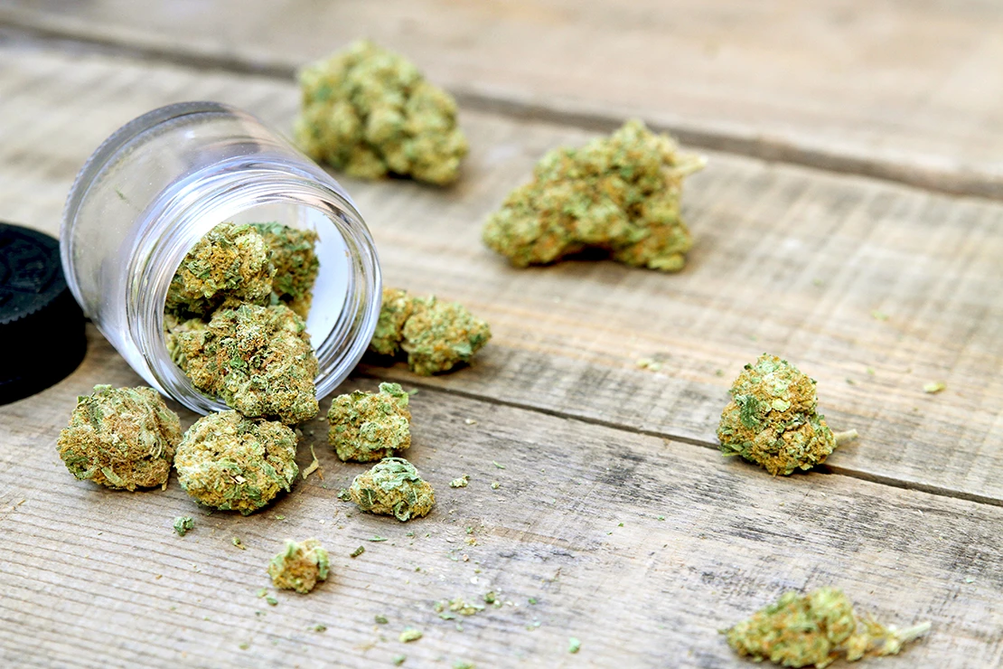 Cannabisanbau – Getrocknete Cannabisblüten liegen verteilt in und neben einem kleinen Glas auf einem Holztisch. Foto: AdobeStock_Xhico