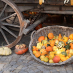 Zierkuerbisse in einem Korb auf einem Markt [Foto: AdobeStock_Fotolyse]