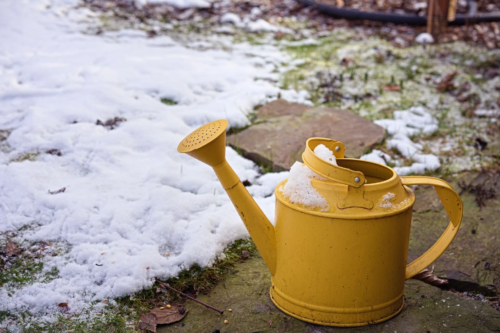 Eine gelbe Gießkanne steht auf dem Boden, der teilweise mit Schnee und Frost bedeckt ist.