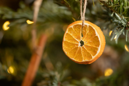 Orangenschalen hängen getrocknet an Weihnachtsbaum, im Hintergrund leuchtet eine Lichterkette [Foto: AdobeStock_Галина Сандалова]