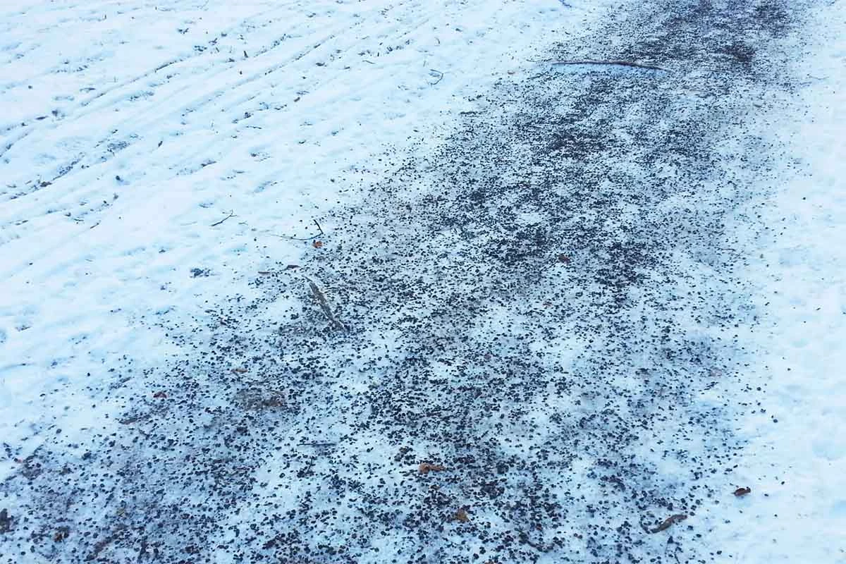 Schneebedeckter Gehweg im Winter, der mit der Streusalz-Alternative bedeckt wurde. [Foto: AdobeStock_Annett Seidler]